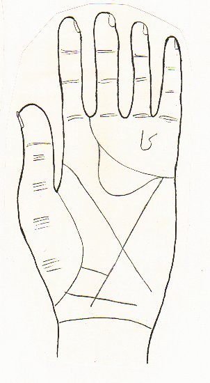 The right hand from MS Ashmole 399 showing, in stylised form, the main lines of the hand