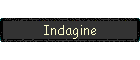 Indagine