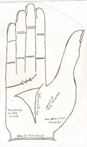 The main illustration from MS Digby Roll IV, showing the Great Triangle and the Table line and the parts of the hand