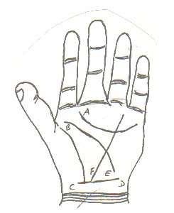 Illustration of the main lines from 'Introductiones Apotelesmaticae'